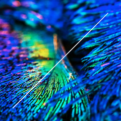 Premiere: Chris Brid - Tres Flores (Powel Remix) [Loot Recordings]