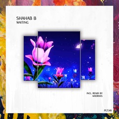 PREMIERE: Shahab B — Desert Oasis (Extended Mix) [Polyptych]