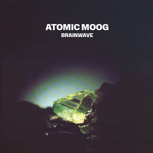 Atomic moog - Model