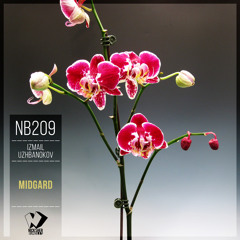 Izmail Uzhbanokov - Midgard (Chillout Mix)