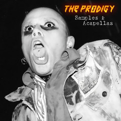 The Prodigy - Samples & Acapellas