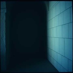 Whispers in the Walls