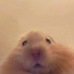 Nhạc chill tiếng mưa học bài #xuhuong #viralvideo #study #tiktok #music #relaxing