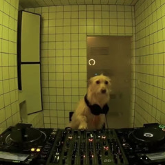 choons vol 1