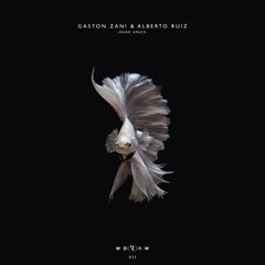 Gaston Zani, Alberto Ruiz - No Weakness (Original Mix)
