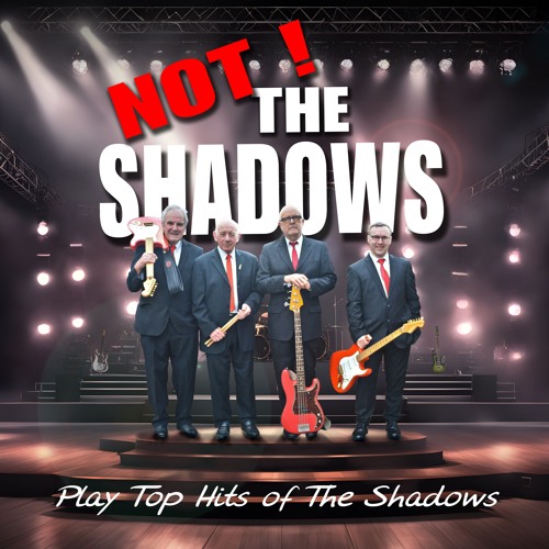 Theme For Young Lovers - Not The Shadows