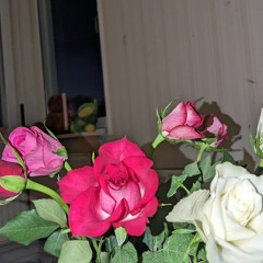 flowers in may