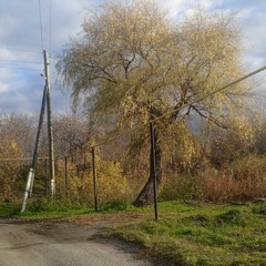 Яшникова - Это возможно