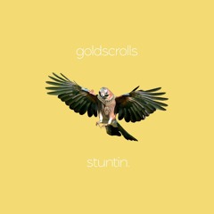 goldscrolls - stuntin.