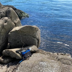 Roe - Islet - Pender Hydrophone Aug2 - 2023 - 1400