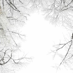 Illuminate (preview)