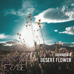 ShiraBeatz: 'Desert Flower'