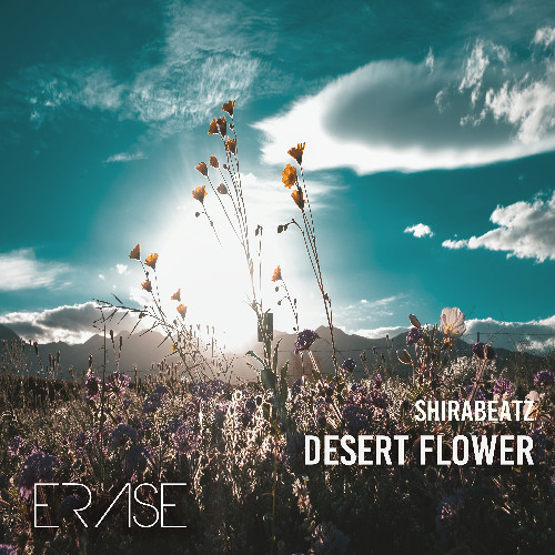 ShiraBeatz: 'Desert Flower'
