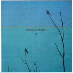 Unknown Artist - White Fir (gsxtavo. Remix)