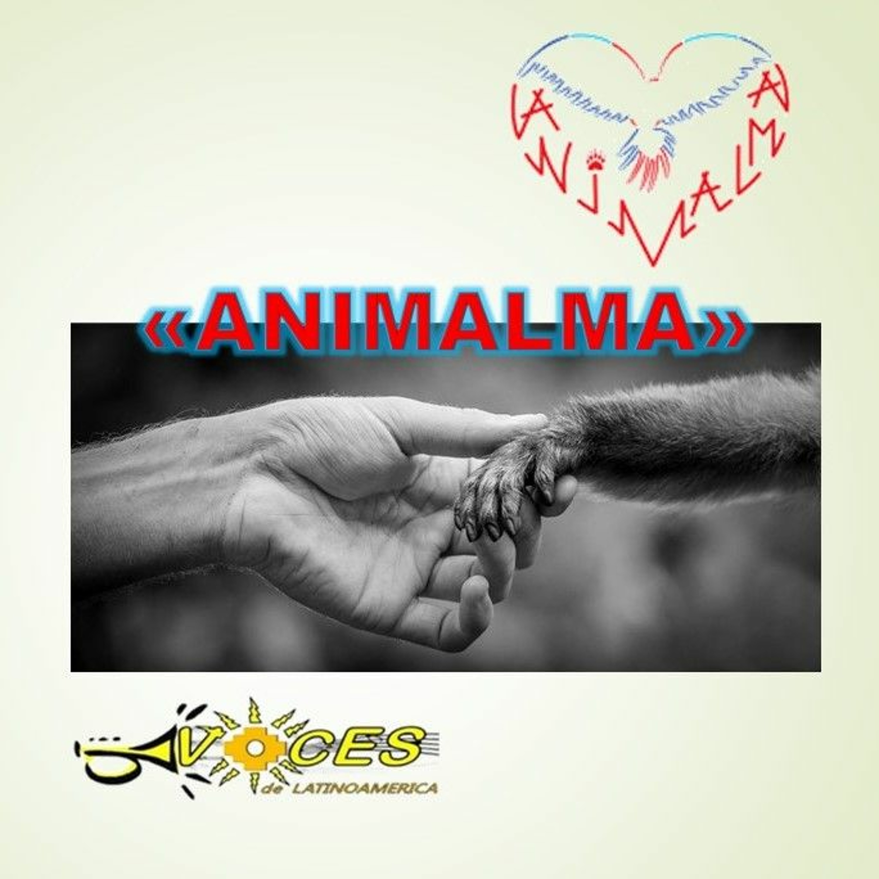 Stadtfilter Sendungen