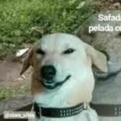 brabos