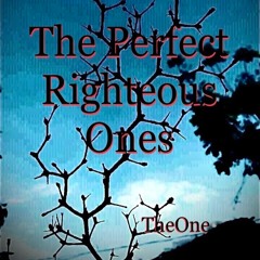 The Perfect Righteous Ones (Radio Edit)