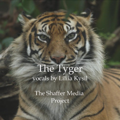 The Tyger (remix)