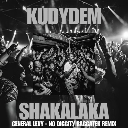 KUDYDEM - SHAKALAKA