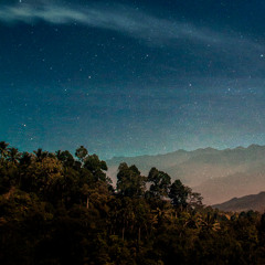 Brombaer - Desert Roses