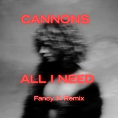 All I Need (Fancy K Remix)
