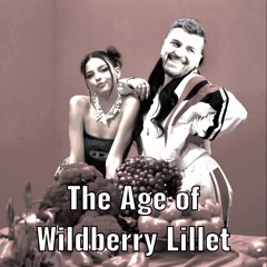 The Age Of Wildberry Lillet (Dj Chris Mashup)