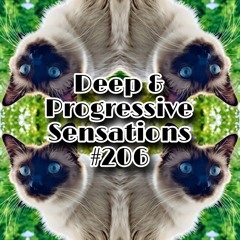 Deep & Progressive Sensations #206 | Ubuhle Bomuzwa (3Step, Afro Tech & House)