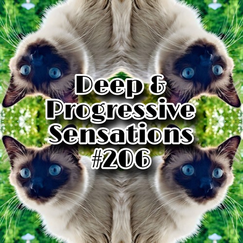 Deep & Progressive Sensations #206 | Ubuhle Bomuzwa (3Step, Afro Tech & House)