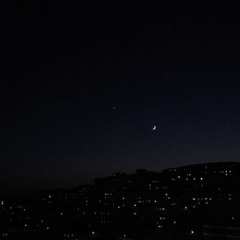 you're the one that i want