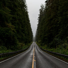 long, long way