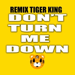 "Don't Turn Me Down" Remix Tiger King | TikTok Hip Hop Rap Party Music