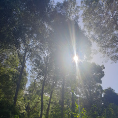 Tis the season to be blunted