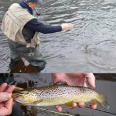 Video]: Fished Off The Coast Of Maine Maybe Full Video Completa