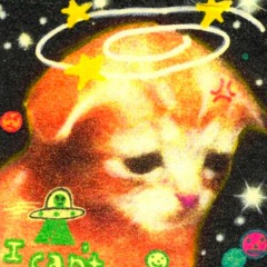 БРОШЕННЫЙ КОТЕНОК