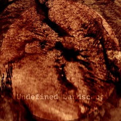 Undefined Landscape