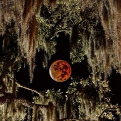 how to school n!ggas