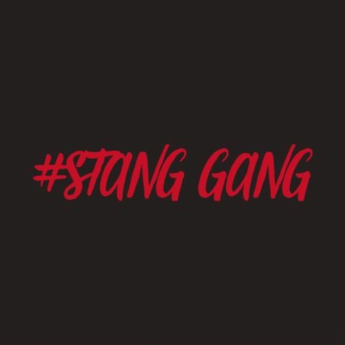 Stream Stang Gang by Jäger Meister | Listen online for free on SoundCloud