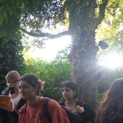 Digital Media I Fall 2023 | Binaural Walkthrough