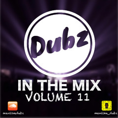 Dubz In The Mix Volume 11