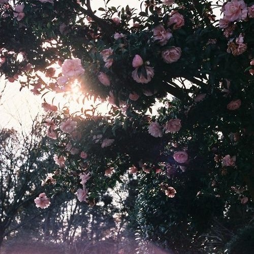 killing me softly (1sadboii)