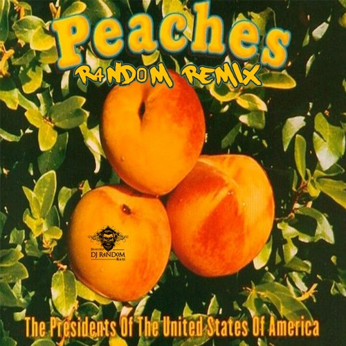 The Presidents Of The United States Of America Peaches Black Heart
