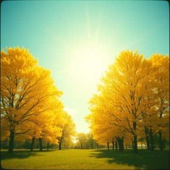 Rise Beyond the Trees (remix)