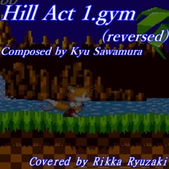 [Sonic.exe] Hill Act 1.gym (reversed) (cover)