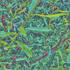 leaves