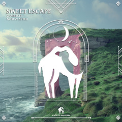 Zambelli, No Day After - Sweet Escape [Cafe De Anatolia]