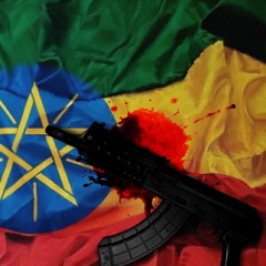 viss - take the blame prod condone