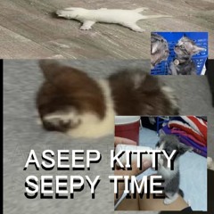 ASEEP KITTY SEEPY TIME