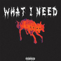 WHAT I NEED