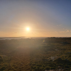 Nollaig Na mBan Yoga Nidra 2025