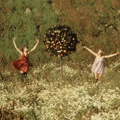 BuryMeInABedMadeOutOfDaisies w/ Snuppy (prod skylarallen)